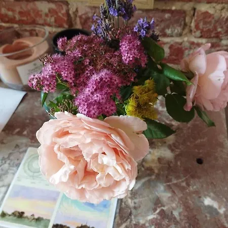 La Campagne Authentique A Deux Pas De Lisieux Проживание в семье *